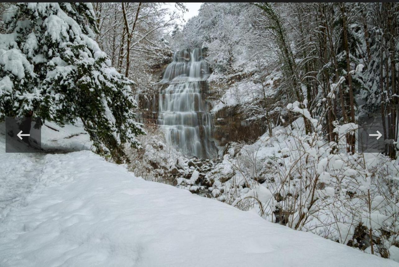 La Champagnolaise Villa Champagnole Dış mekan fotoğraf