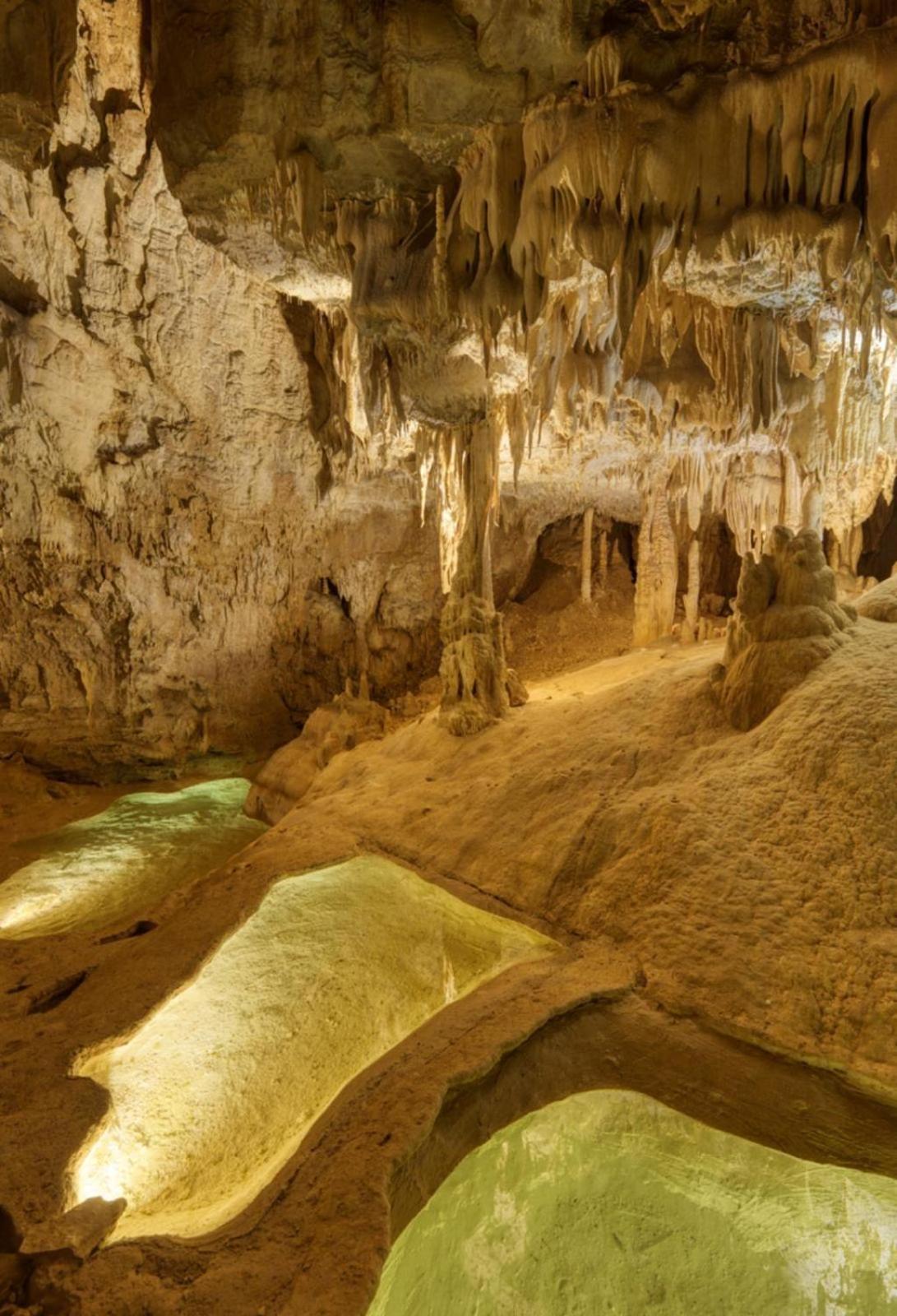 La Champagnolaise Villa Champagnole Dış mekan fotoğraf
